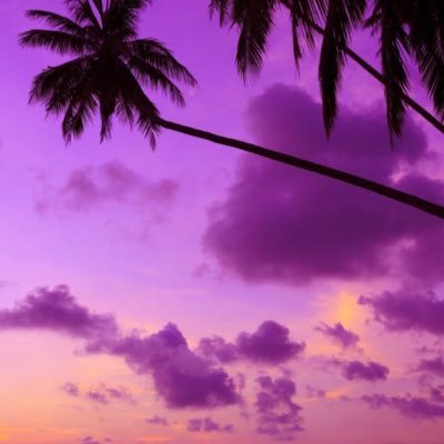 nonk44's profile picture. لا اله الا الله 🇸🇦