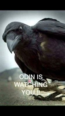 RattyBasterd's profile picture. Love Gothic people. Vikings. Heathen  Love life Have 4 Cat's. I am a Winner if Defeated  I Learn I don't loose!