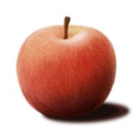 ワイハin津軽 (@waiihapingpong) 's Twitter Profile Photo ワイハin津軽 (@waiihapingpong) 's Twitter Profile Photo