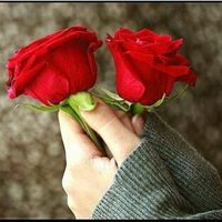 #HİVAL (@hival90) 's Twitter Profile
