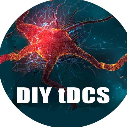 Keeping tabs on Transcranial Direct Current Stimulation and DIY tDCS.