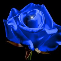 Blue Rose Epics(@BlueRoseEpics) 's Twitter Profile Photo