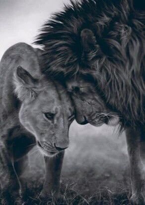 MeMyKidznGOD's profile picture. iAm A LEADER xCEPT N THE PRESENCE OF GREATNESS:
then iAm a Student. 
Best'ting bout me?: ! FAITH ! && ! myPOPS ! 
~the Rose that grew from Concrete
& Mu$ik