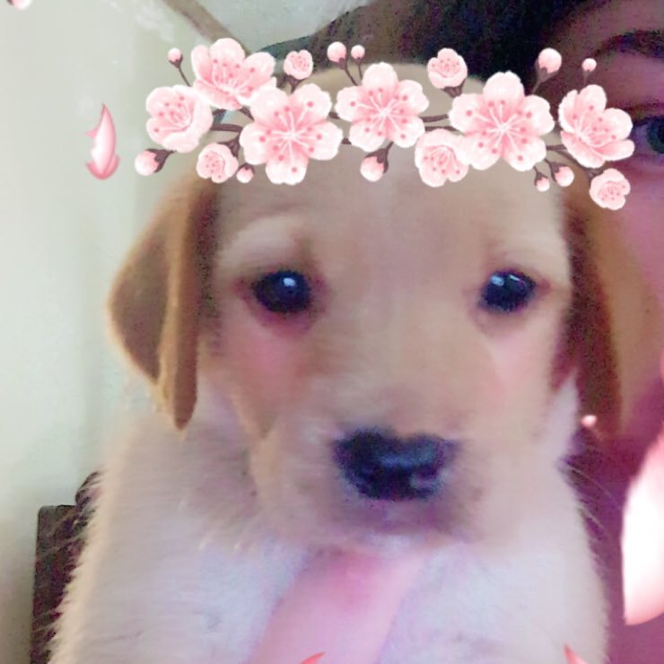 ꒰#태형꒱ 🏹 ㅡ