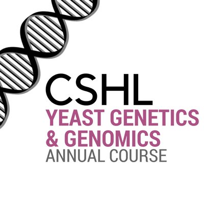 Learn to wield the Awesome Power of Yeast Genetics! #GoYeast

DM this account any alumni news, papers, postings, etc. Tweets by @FungalSquirrel