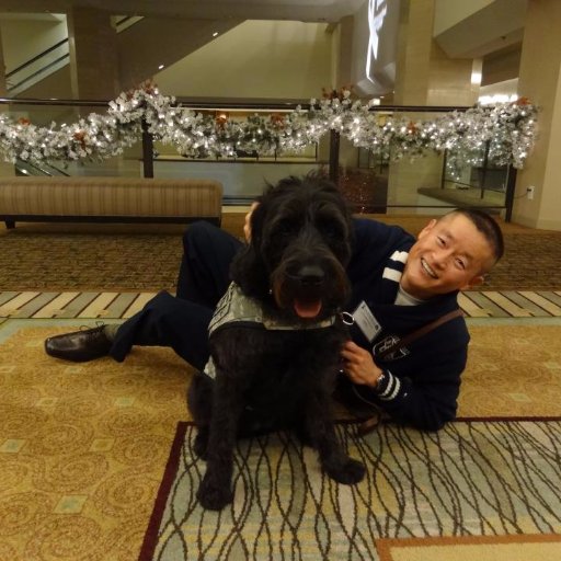 mailofficail041's profile picture. 