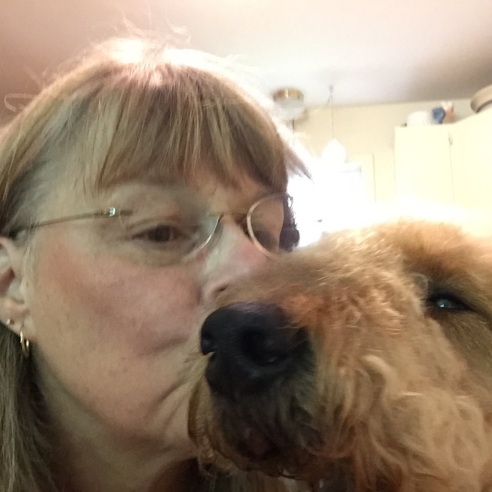 Resist, Respect, Independence❤️ my 3 pups, (she/her) #prochoice #Ukraine #Resist #ImpeachTrump #❤️Canada #FreeDC #Jamal (No DMs) #JustSayNo🏴☠️