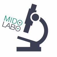 Mido Labo (@midolabo_info) 's Twitter Profile Photo Mido Labo (@midolabo_info) 's Twitter Profile Photo