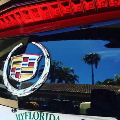 Gulf Coast Mobile Detailing. Pinellas County & Gulf Beaches to South Tampa 727-254-7711