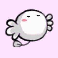 きくちゃん (@kikuchan98) / X