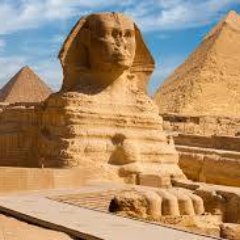 EgyptMemphis's profile picture. Egyptian Travel agency , provide guests with all needs . best experience and professional .just join  us