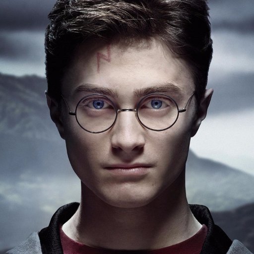 harry311potter's profile picture. Everything Harry Potter because Harry Potter is everything. 
#HarryPotter