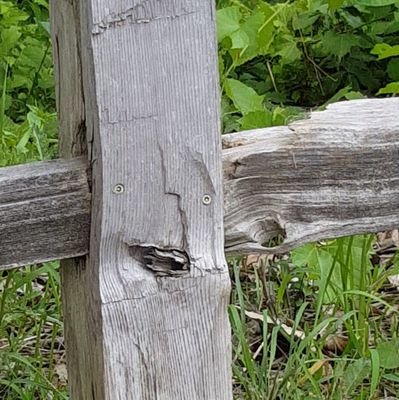 pro2man77's profile picture. the years go by my voice gets lower and everything changes so fast but nothing sets your heart a flutter as when you return yourself to your past