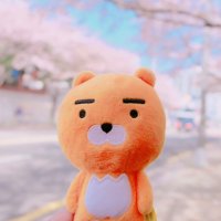 ไปเกาหลีกัน~ 한국 가자! (@paikaoli) 's Twitter Profile