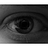 shuckins's profile image