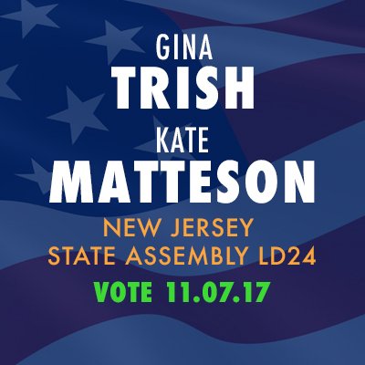 Kate Matteson and Gina Trish for NJ's 24th District State Assembly. Strong Democratic representation in Trenton will bring our District the respect it deserves!