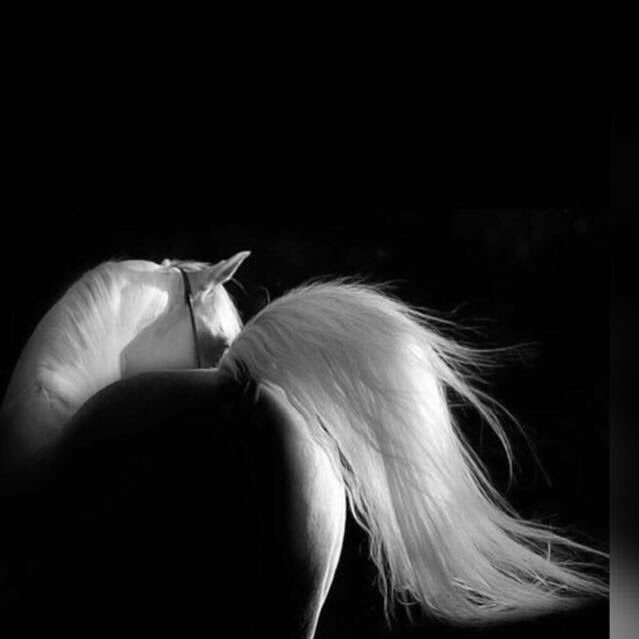 Dr_WSS's profile picture. 