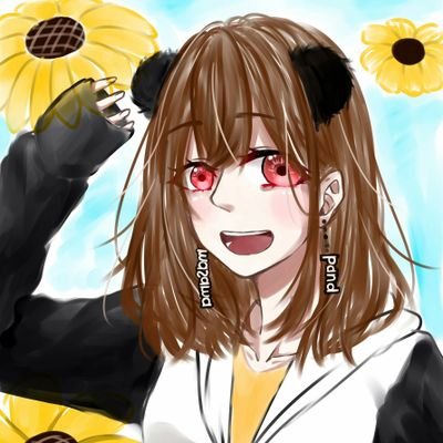 ◌｡˚✩Mina©PANDA✩˚｡◌さんのプロフィール画像