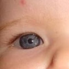 Di_Katrine's profile picture. Fan account