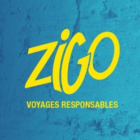 ZIGO(@zigotrip) 's Twitter Profileg