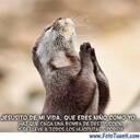 Carmen Muñiz Alarcón - @KarmenTururu - Twitter