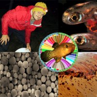 Jeffrey T. Miller (@jmiller_evomics) 's Twitter Profile