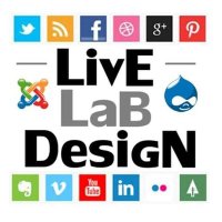 Live Lab SEO(@livelabseo) 's Twitter Profile Photo