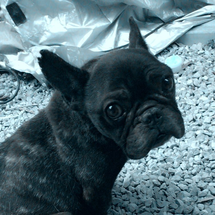 miki238011's profile picture. 無事卒業 元バスケ部MG 社会人