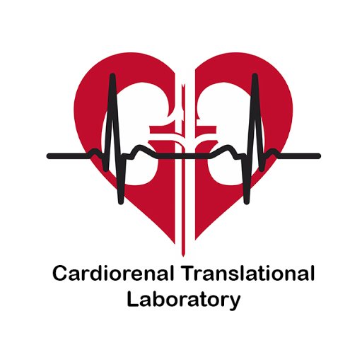 Dr. Gema Ruiz-Hurtado is the leader of the Cardiorenal Translational Laboratory at Hospital 12 de Octubre in Madrid, Spain.