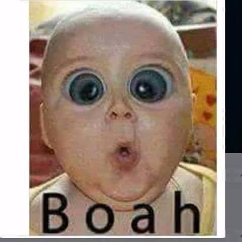 MifcomTrump's profile picture. 