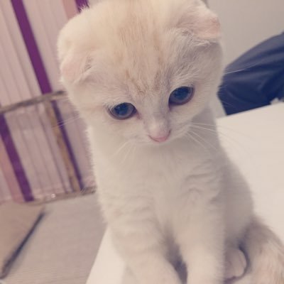 い わ さ ʚ✩⃝ɞさんのプロフィール画像