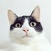kywarai (@kywarai) Twitter profile photo kywarai (@kywarai) Twitter profile photo