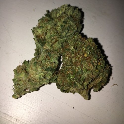 top grade Medical Marijuana.