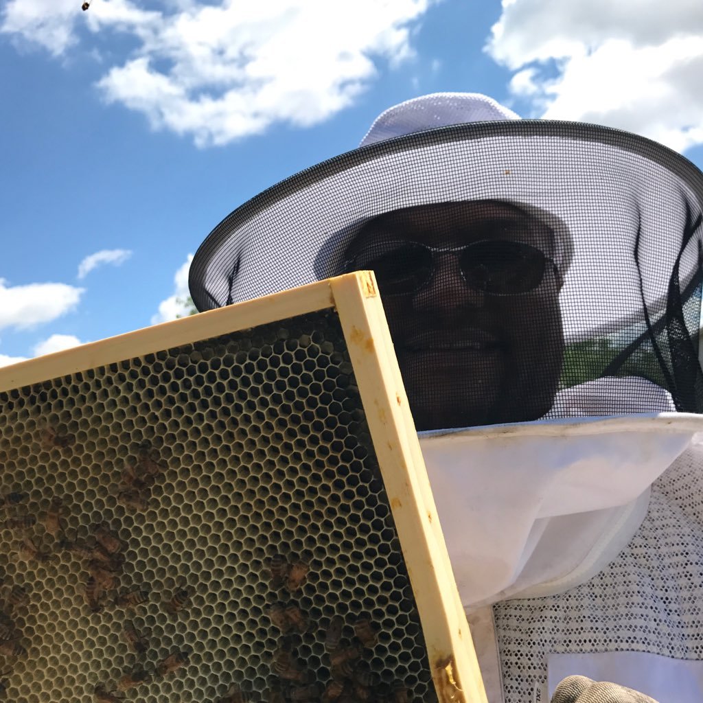 Veteran-Beekeeper. Agnostic to the delivery method of great education.