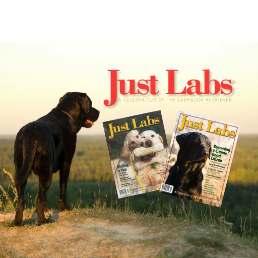 Just Labs