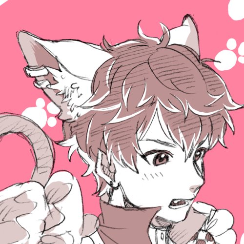 せとさんのプロフィール画像