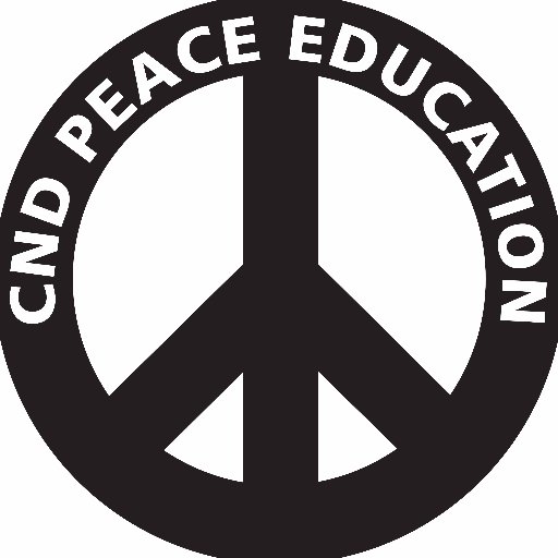 We empower young people with knowledge and critical thinking on nuclear weapons and peace issues, through free school sessions and teaching resources.