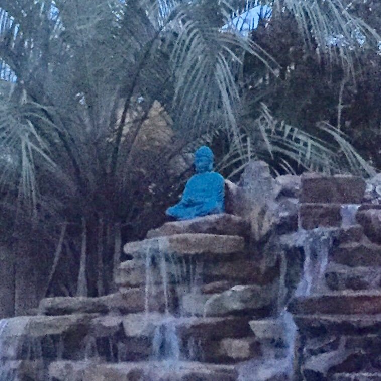 mffuller's profile picture. Wife, Mother, Mimi.