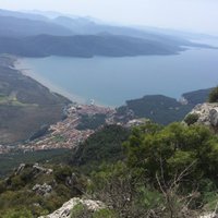 Eng (@ahsapeng) 's Twitter Profile