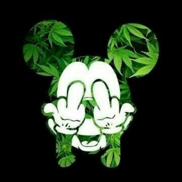 Connecti0ns's profile picture. 