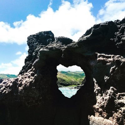 jerseygirl72csr's profile picture. 