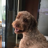 Sacher 🇭🇺🇪🇺 (@sachertorta) 's Twitter Profile Photo Sacher 🇭🇺🇪🇺 (@sachertorta) 's Twitter Profile Photo