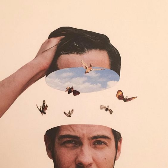 Anne_Naomi's profile picture. Houdt van appels en peren.