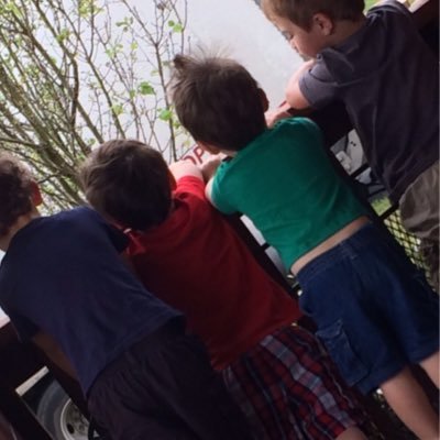 AdoptedChaos's profile picture. 