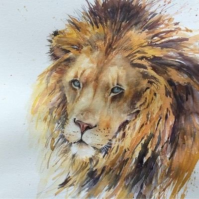 curlzAlQubaisi's profile picture. 