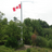 york_region's profile image