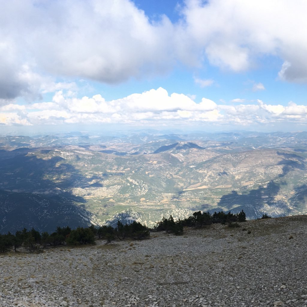 rsnstile's profile picture. 