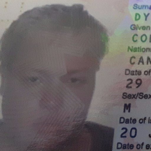 codyck2's profile picture. 