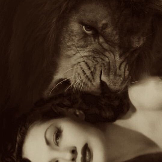 mooncalfcat's profile picture. . she/her .