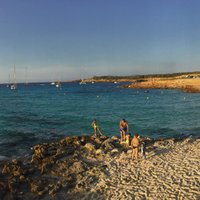 Cianciala (@ghazarian) 's Twitter Profile